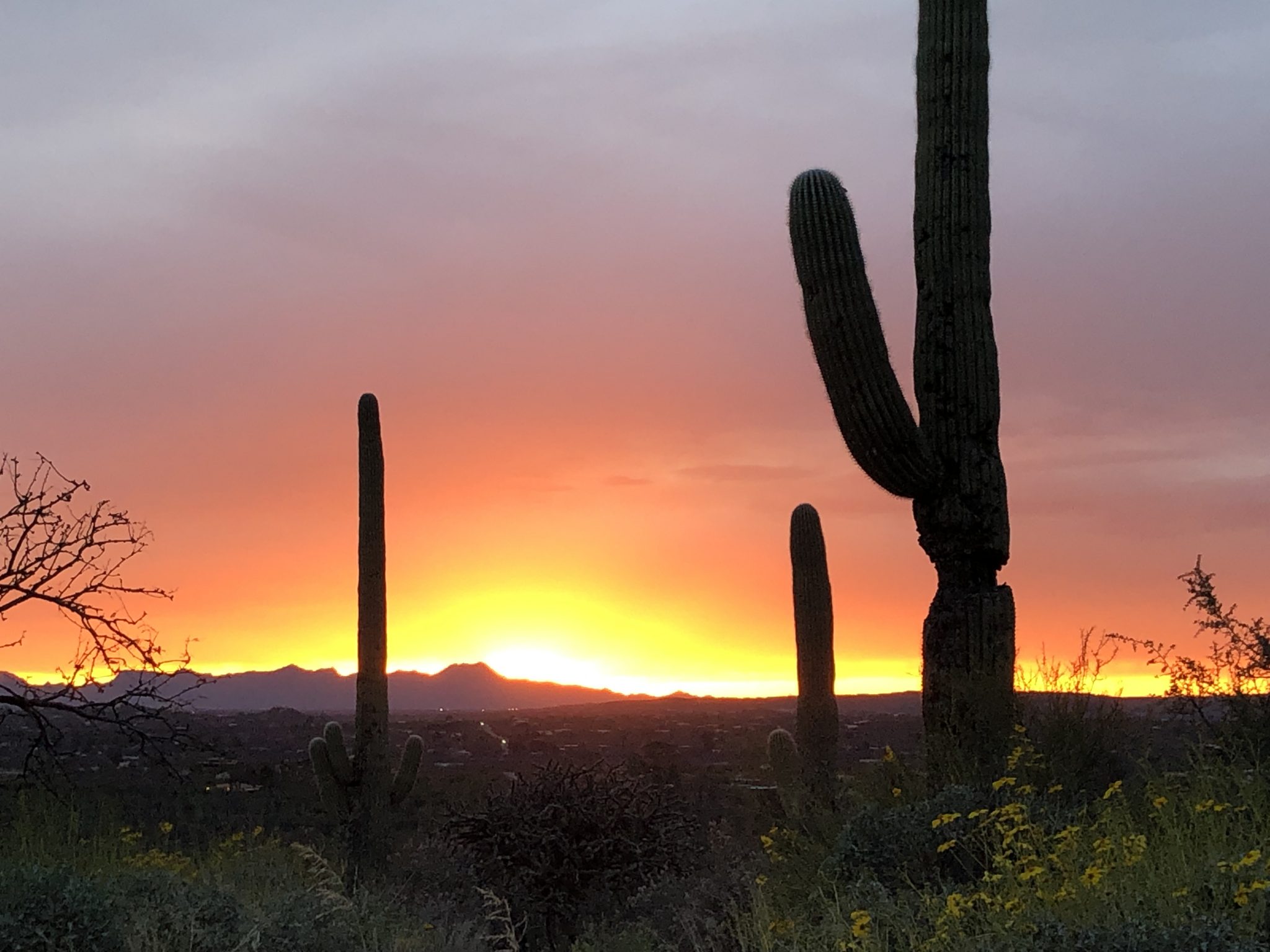 Palo Verde Ranch Custom Property 350,000 Tucson MLS 22012726