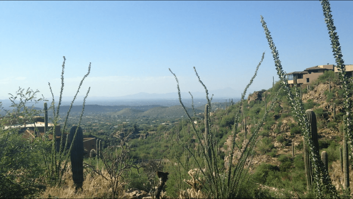 Ventana Canyon Mountain Estates Tucson Land & Home Realty