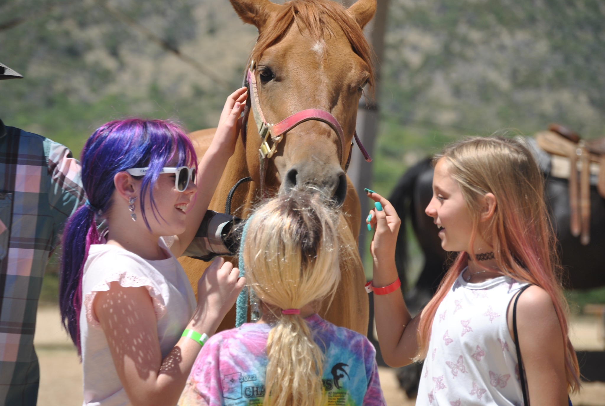 Triangle Y Camp & Retreat Center YMCA of Southern Arizona