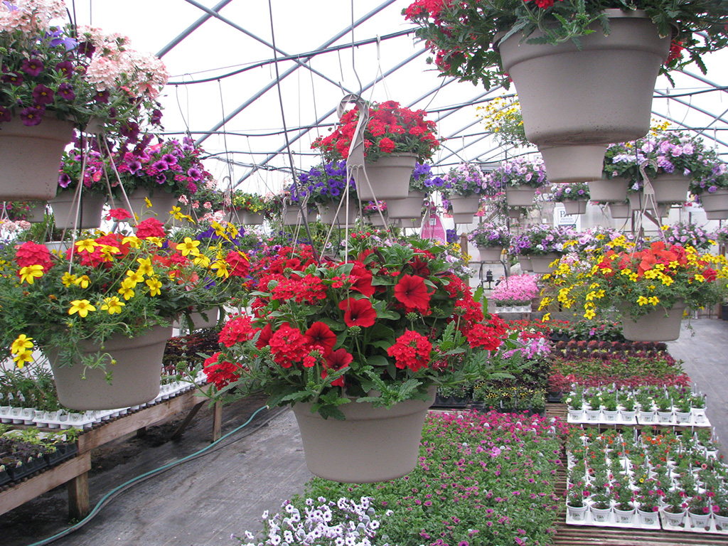 Greenhouses Tudbinks