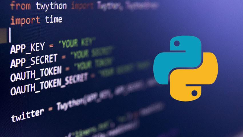 Why Do We Write Websites Using Python? - Macello Kit
