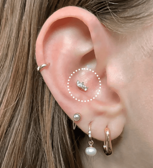 Piercing Conch 60 Ideias de Perfurações e Joias Lindas!