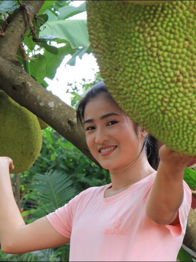 Como plantar jaca para produzir rápido confira agora?