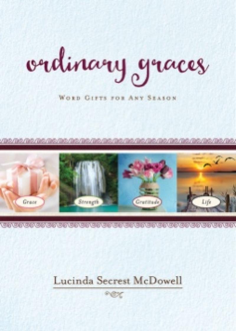 Book Review Ordinary Graces Tuetego
