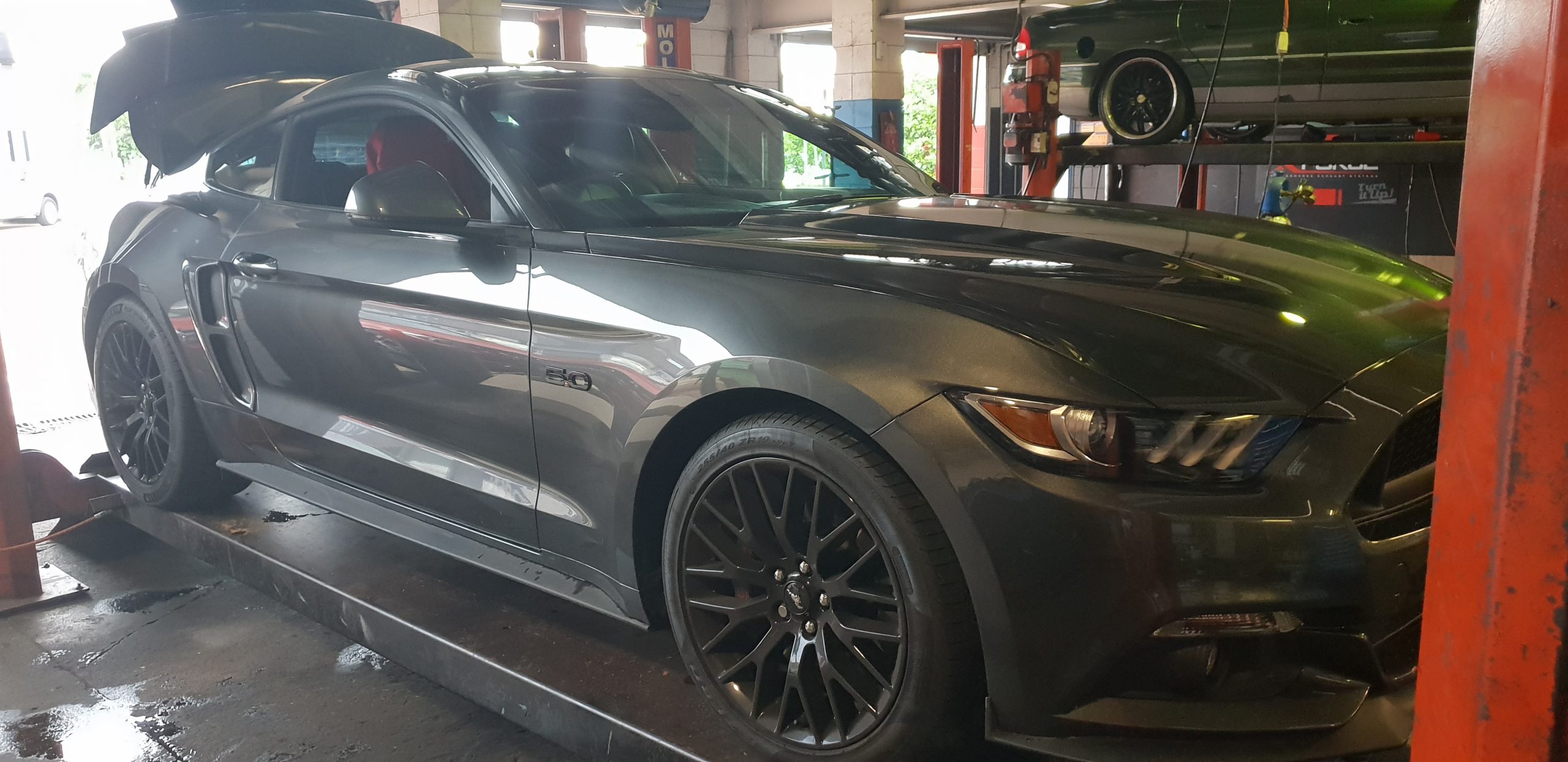 Gallery Tuff Muff Cairns