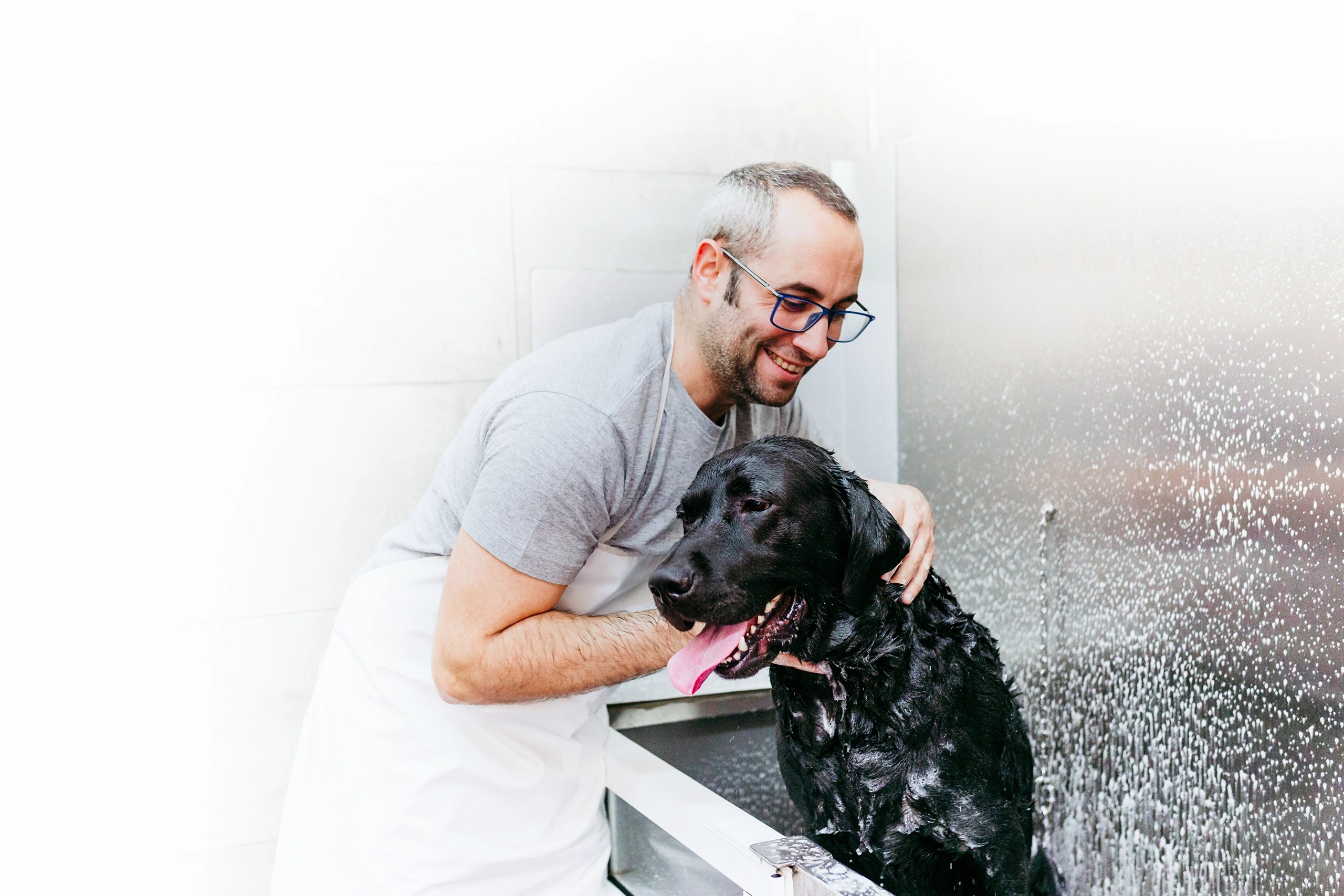 Referral Program Tuft Pet Grooming Software