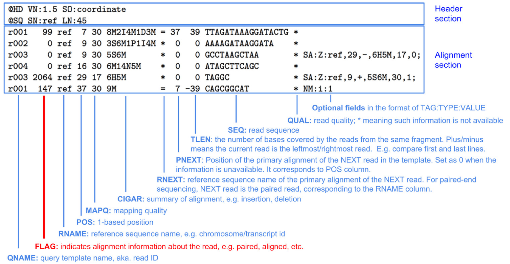 Read alignment [“Research Technology Bioinformatics”]