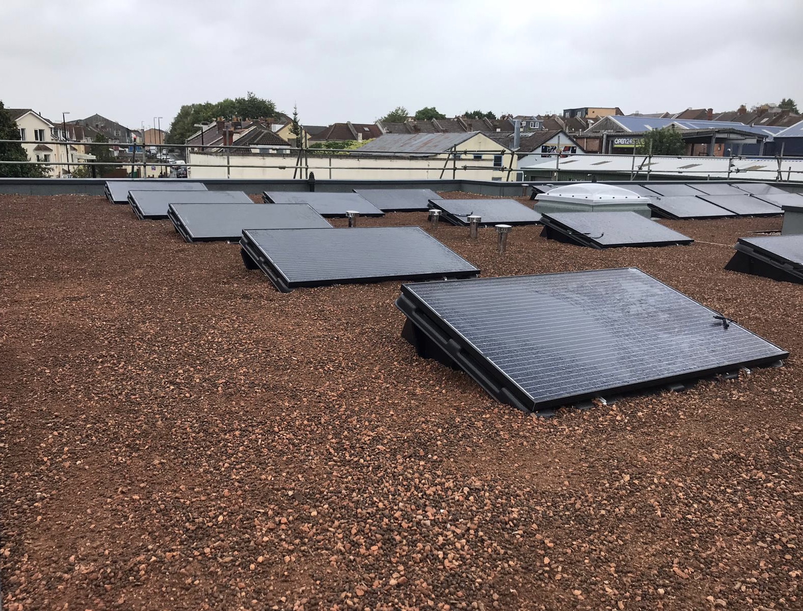 Biodiverse extensive green roof in Bristol The Urban Greening Company