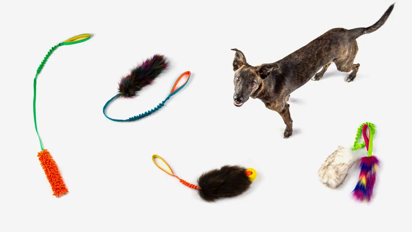 Tuggy Dog Toys – Be your dog's best friend