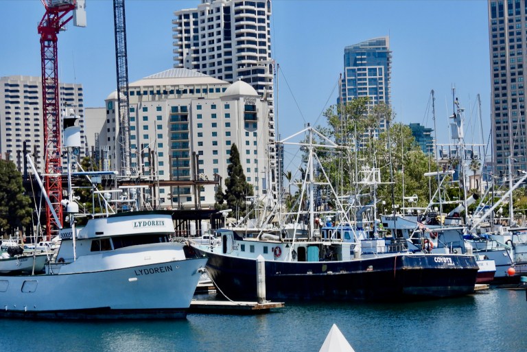 Coyote tugster a waterblog