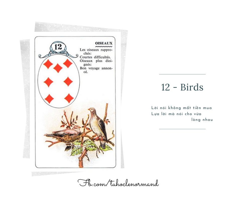 Ý nghĩa lá bài 12. Birds Tự học Lenormand