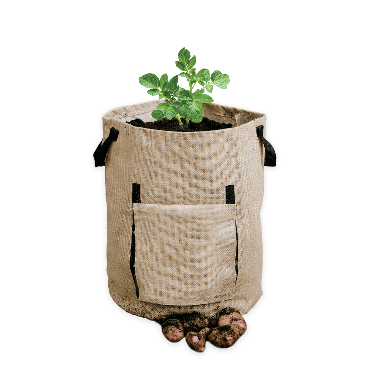 Tui Potato Grow Bag