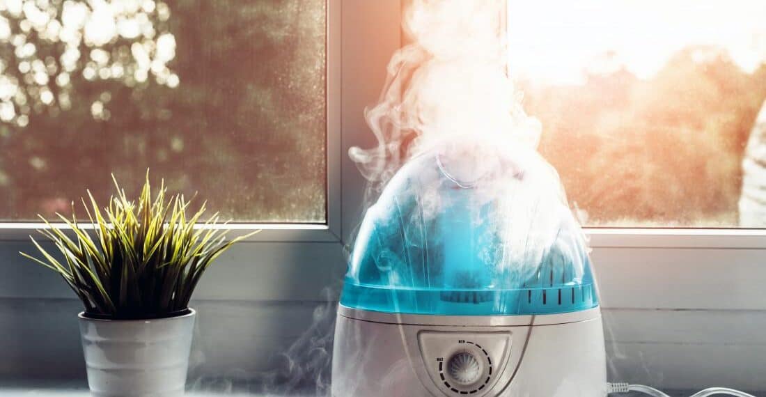 Best Humidor Humidifier To Buy Online