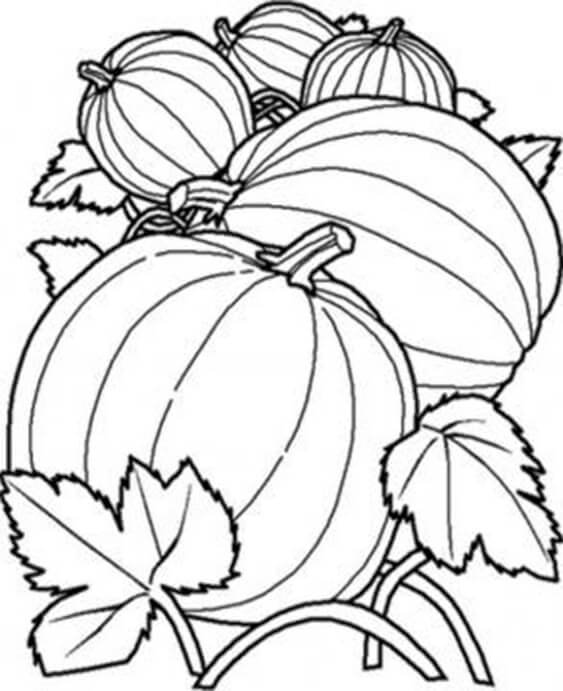 Free & Easy To Print Pumpkin Coloring Pages Tulamama