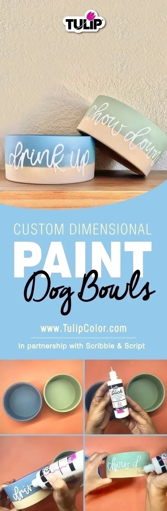 Custom Dog Bowl Painting Tutorial Tulip Color Crafts