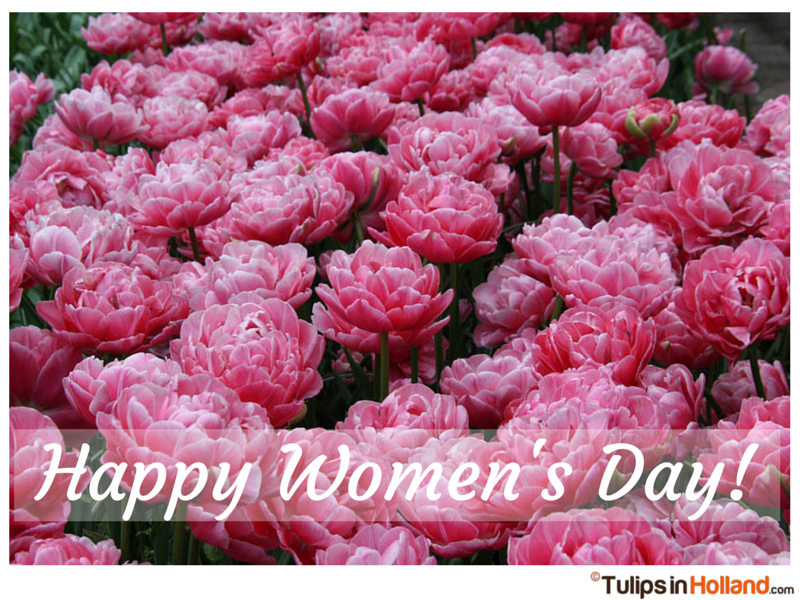 Happy International Women's Day Tulips in Holland