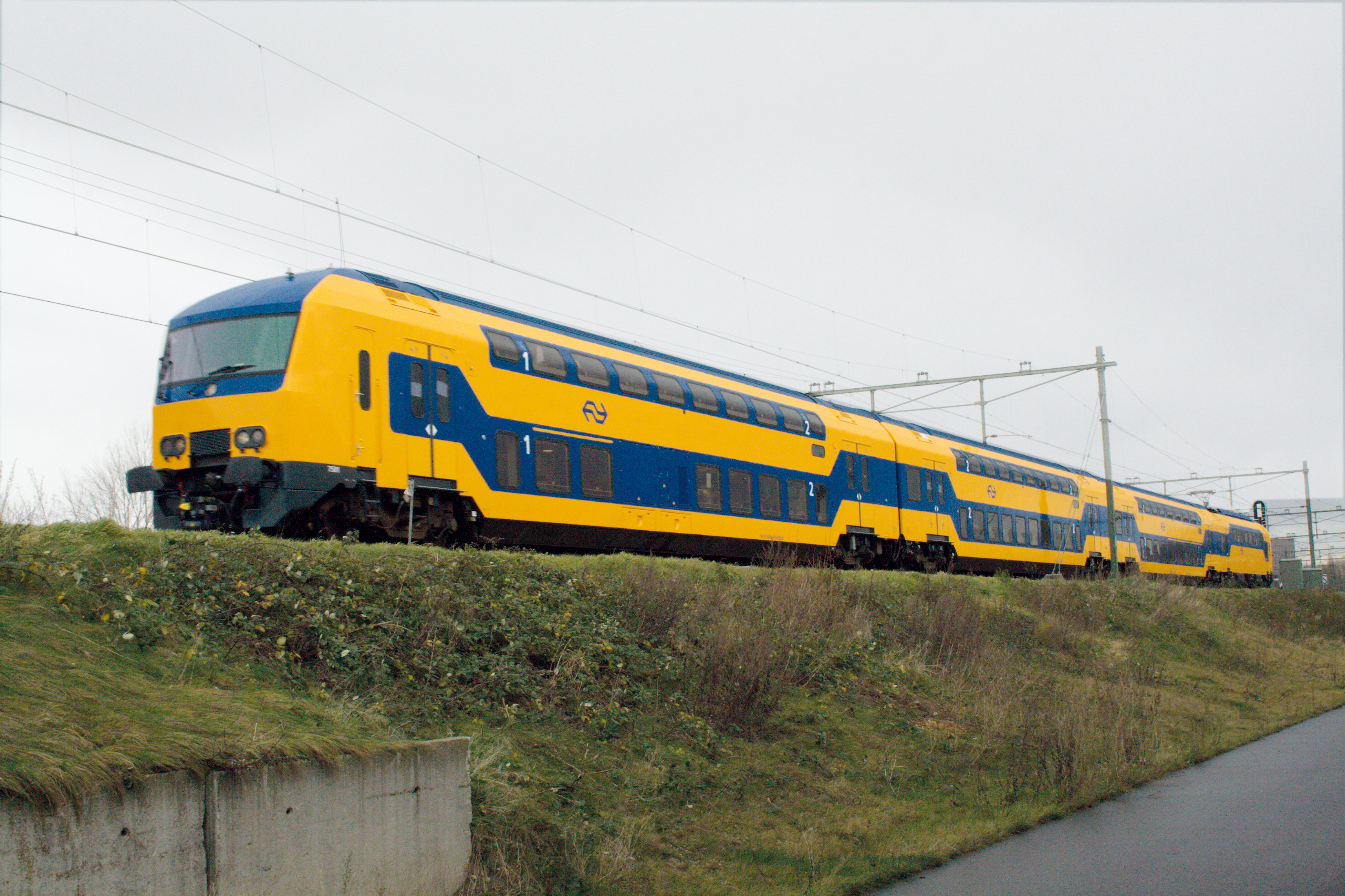 Train from Amsterdam to Brussels Tulips in Holland