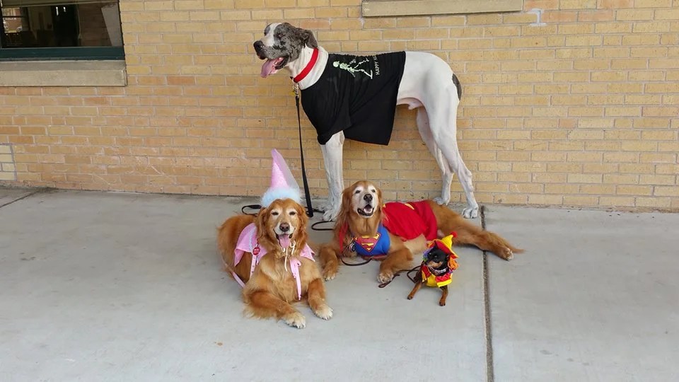 Carnegie Elementary School Visit Tulsa Dog Training Club