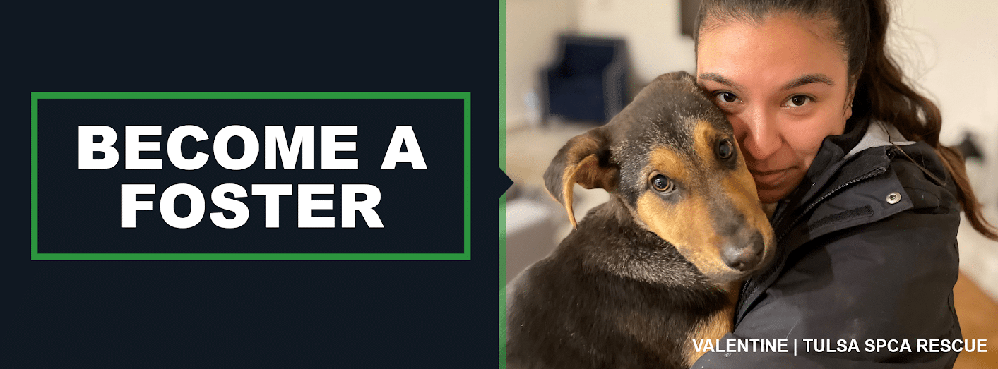 A Foster Parent Tulsa SPCATulsa SPCA