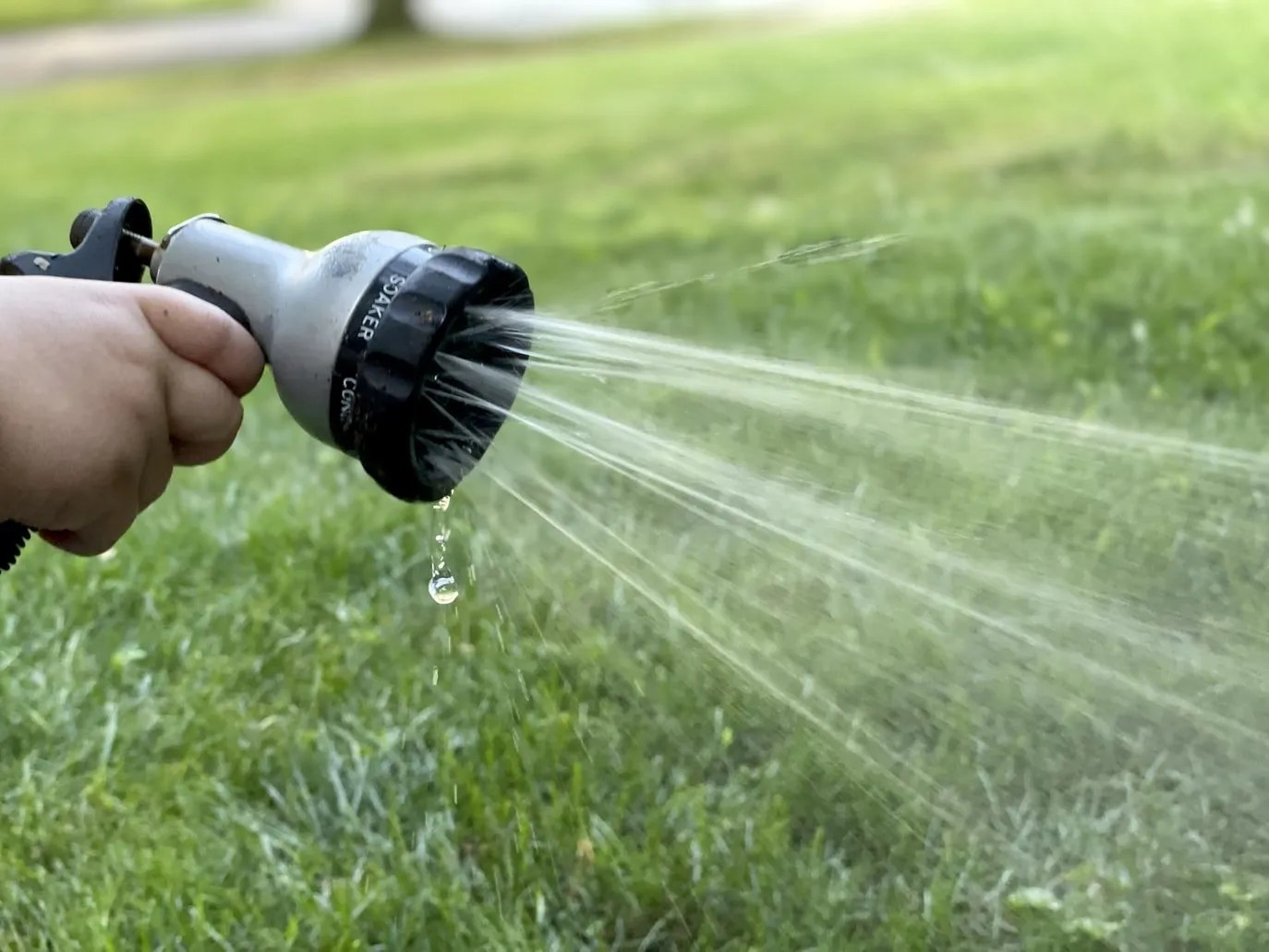 How to Perfect Your Watering Routine for Your Garden Extreme Irrigation