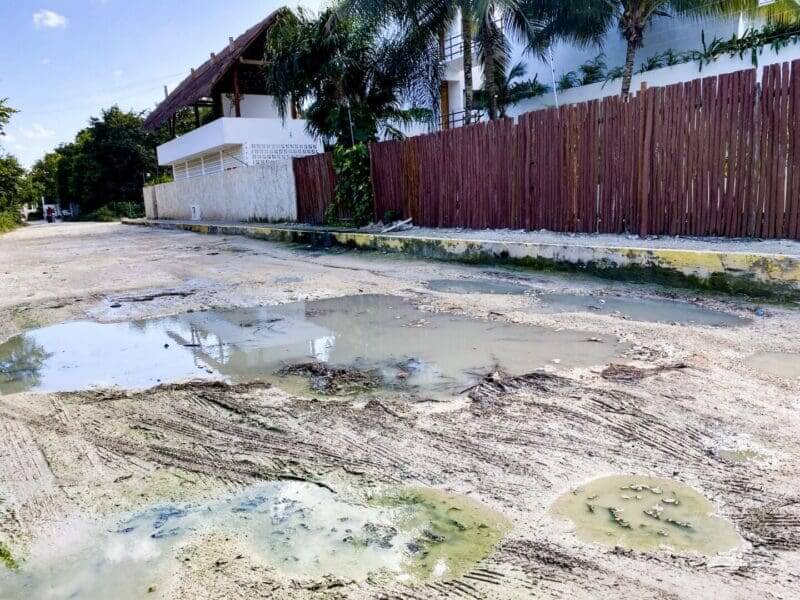 Dengue Danger in Tulum And Condo's Pool Practices The Tulum Times