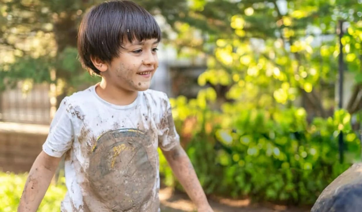 Stain Removers For Easy Stain Removal At Home