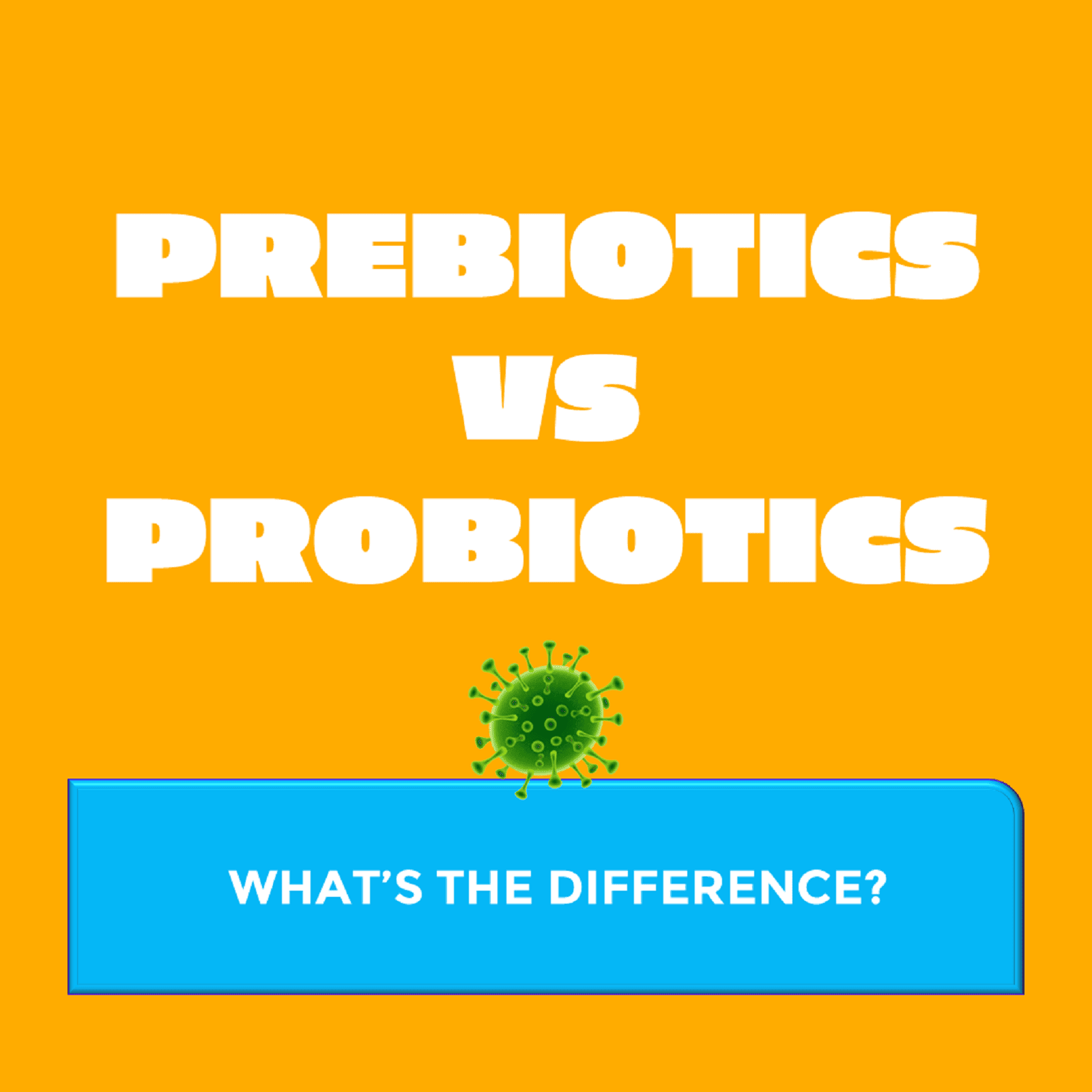 Prebiotics vs. Probiotics What's the Difference? Tummy MOT