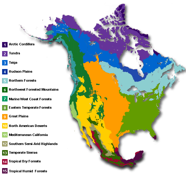 Tundra Location Map