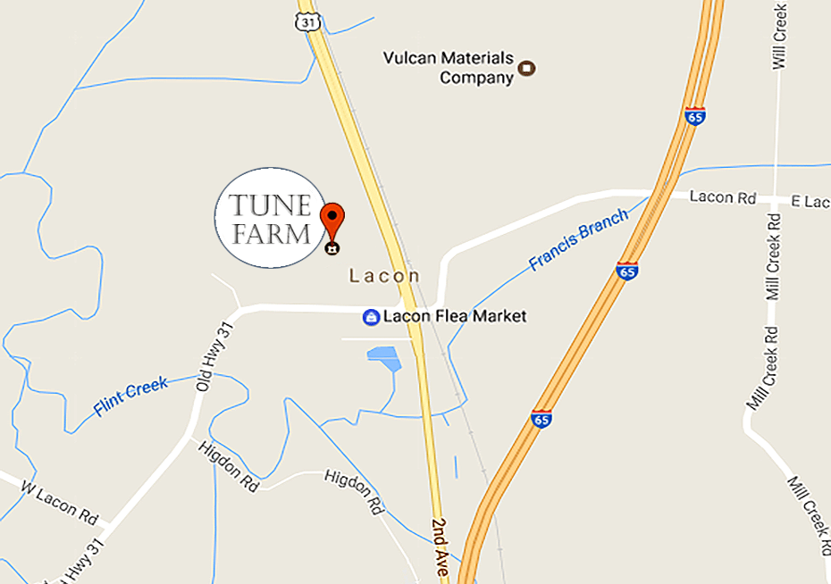 Tune Farm A Place for Weddings & Events