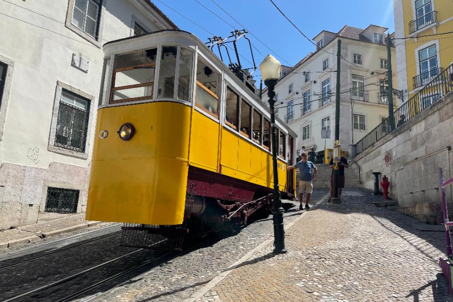 Tour Shark Lisbon One Day Itinerary