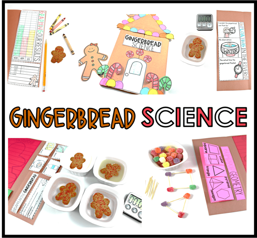 Gingerbread Science Tunstall's Teaching