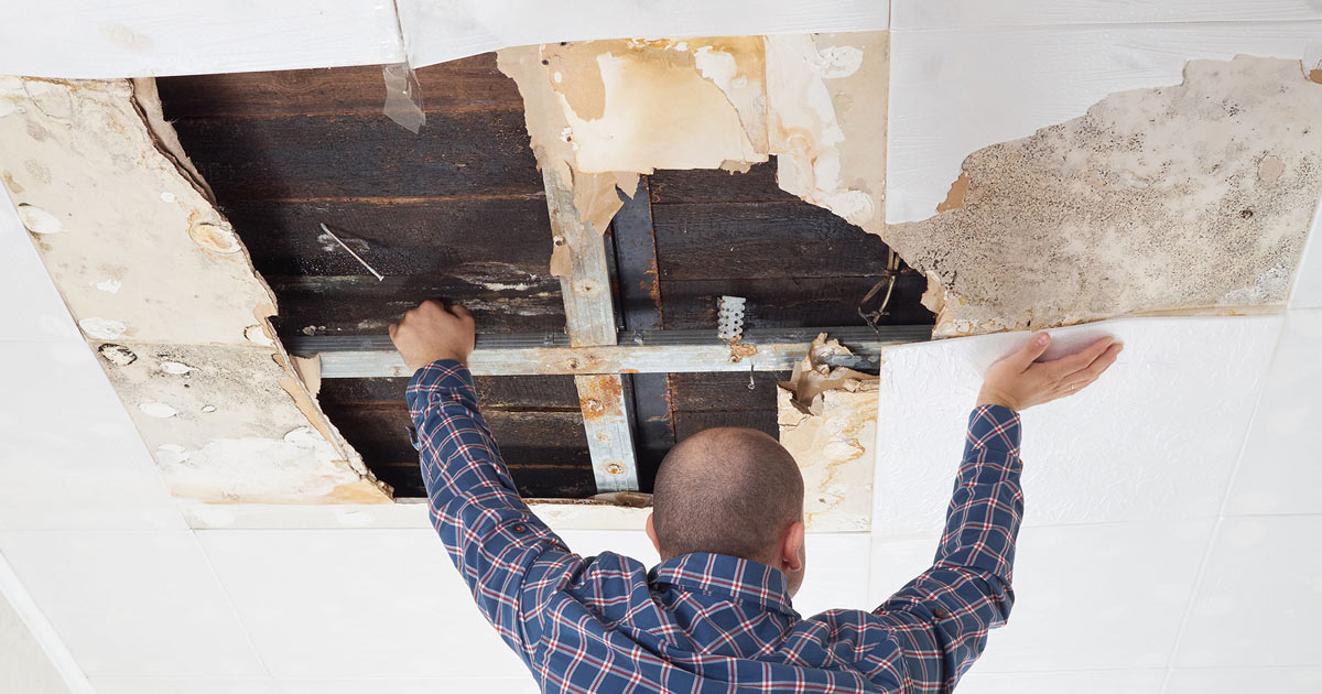 Glidden lanza nueva campaña para HYDROSTEEL Tu Nuevo Hogar