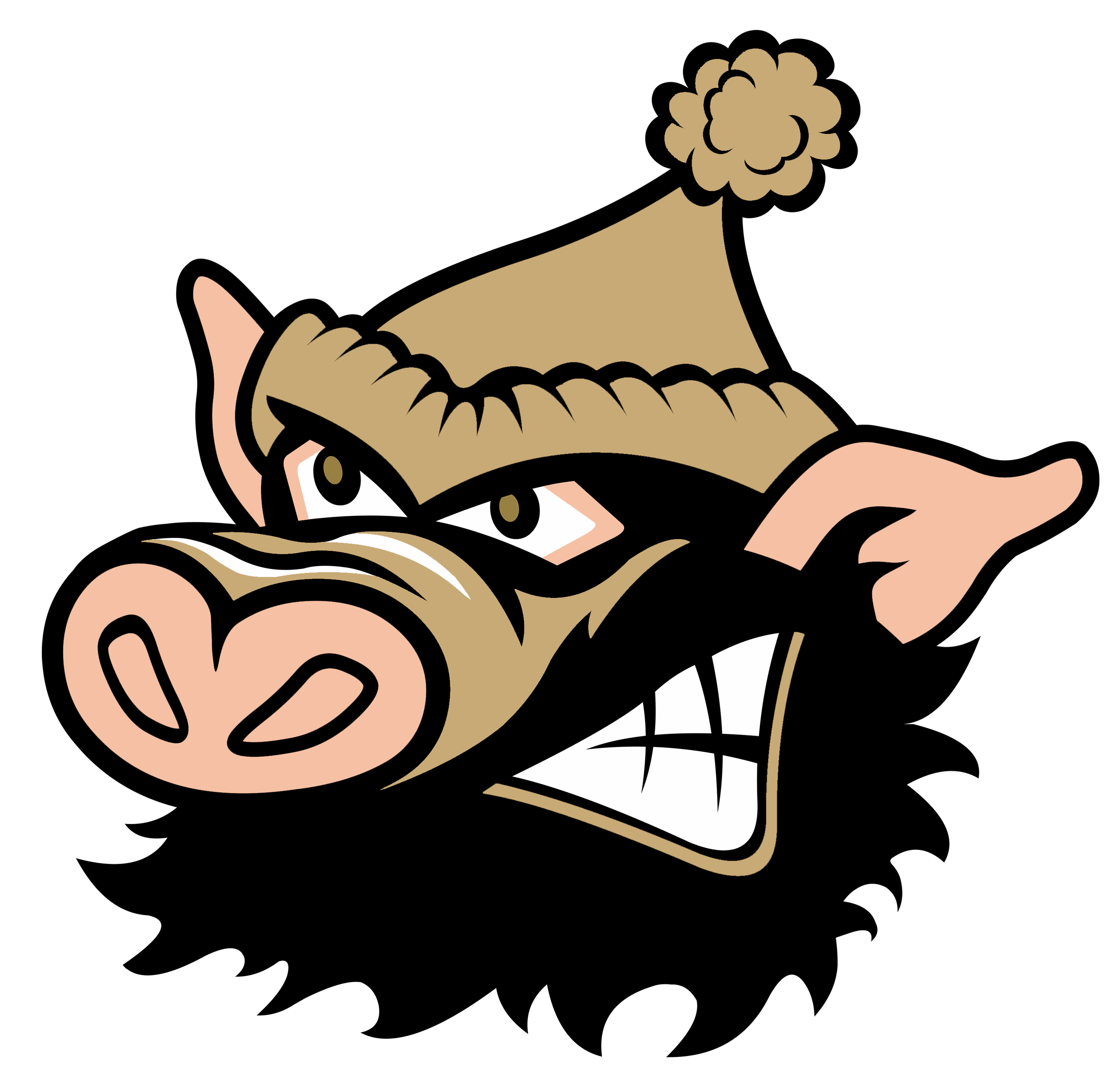 Tupper Lake Riverpigs Professional Baseball club of the Empire