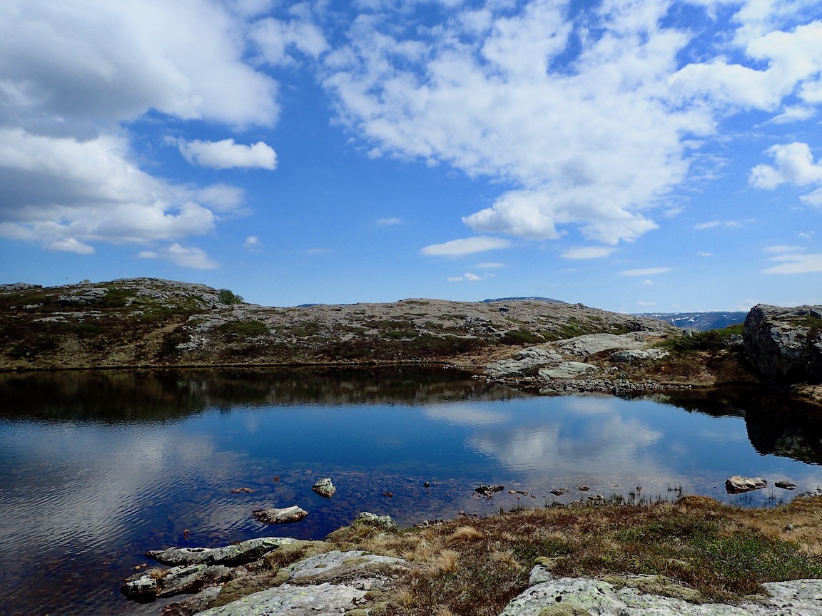Skorva | Turanbefalinger