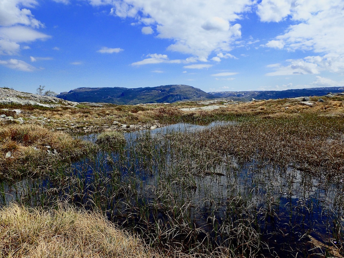Skorva | Turanbefalinger