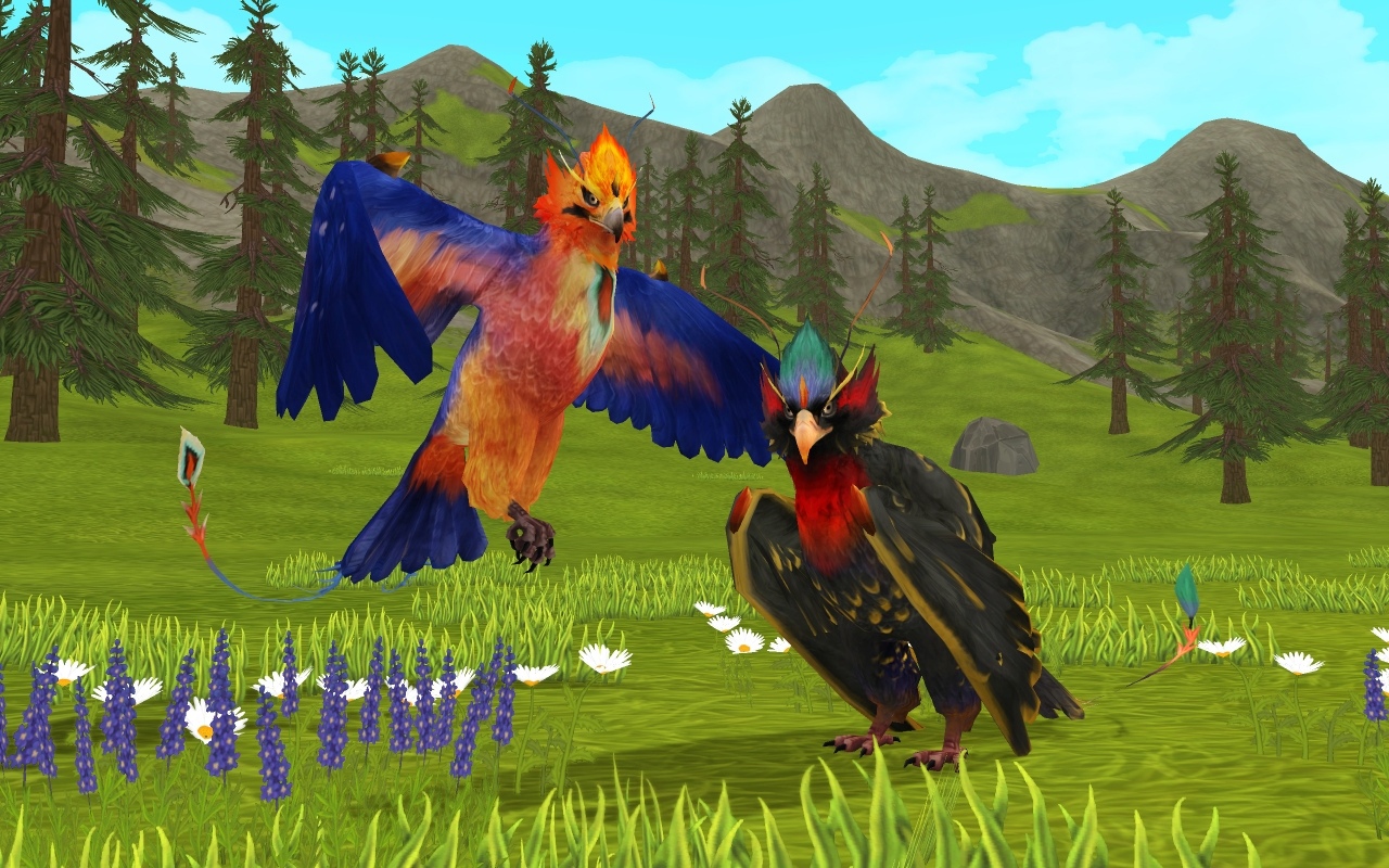 What Is Wildcraft at Terrance Meyer blog