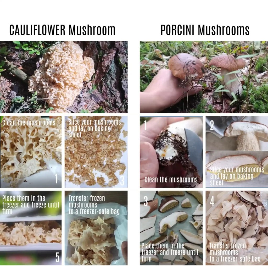 StepbyStep Instructions For Freezing Mushrooms Raw