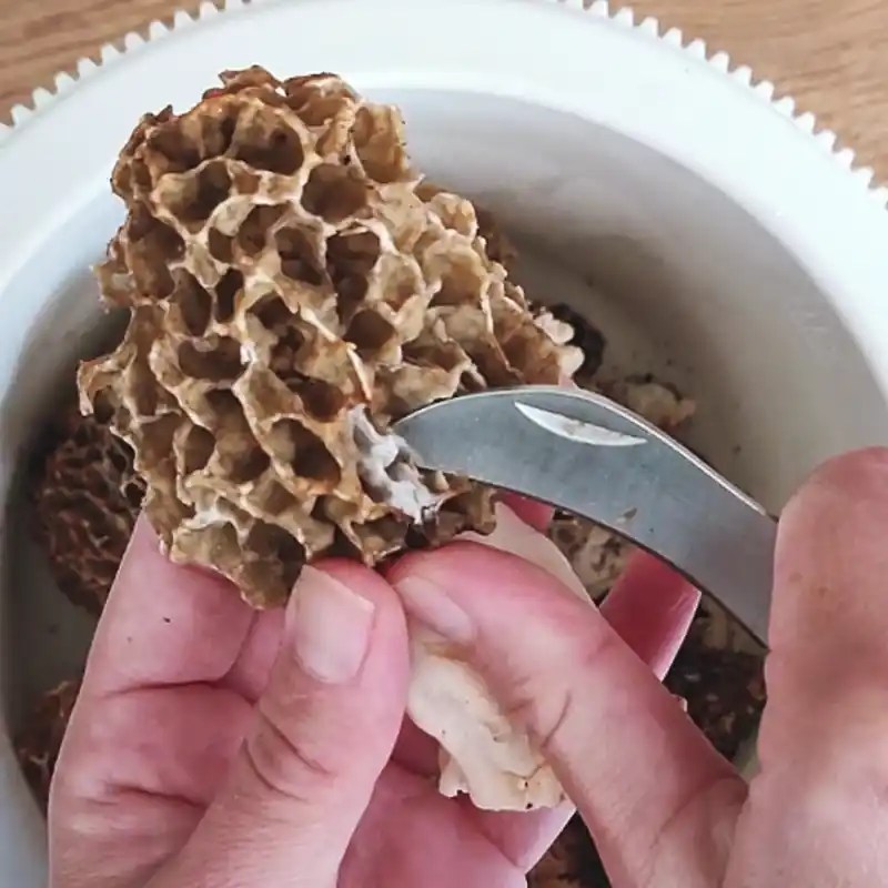 How To Cook & Clean Morel Mushrooms?
