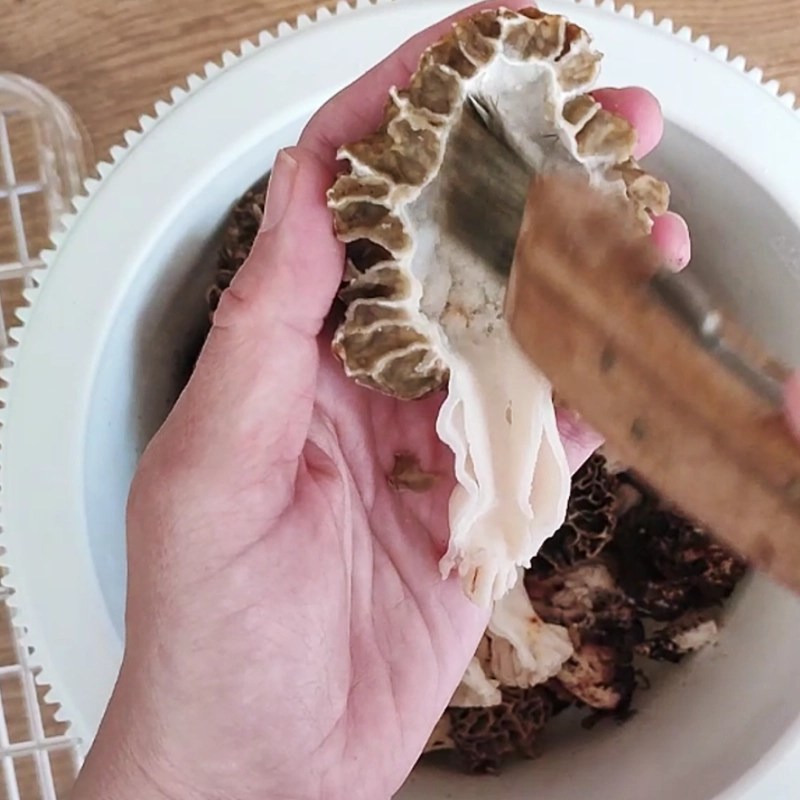 How To Cook & Clean Morel Mushrooms?