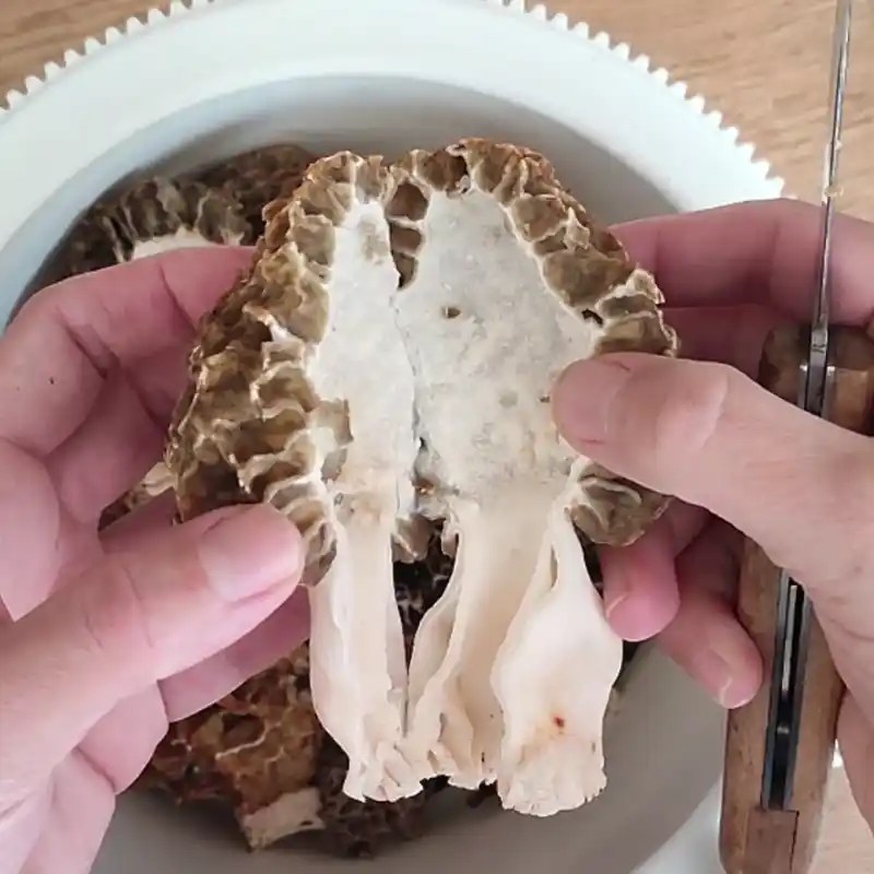 How To Cook & Clean Morel Mushrooms?