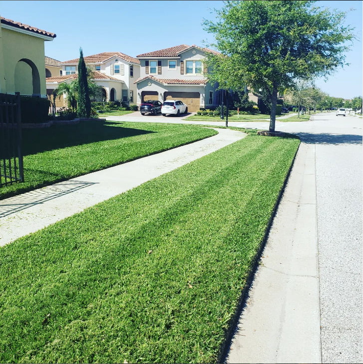 Residential Lawn Services Turbo Turf Landscaping