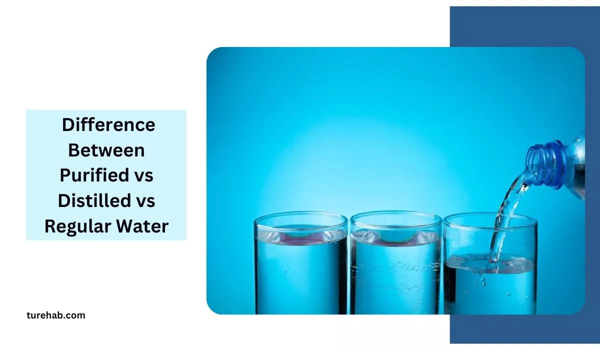 The Differences Between Purified, Distilled, and Regular Water