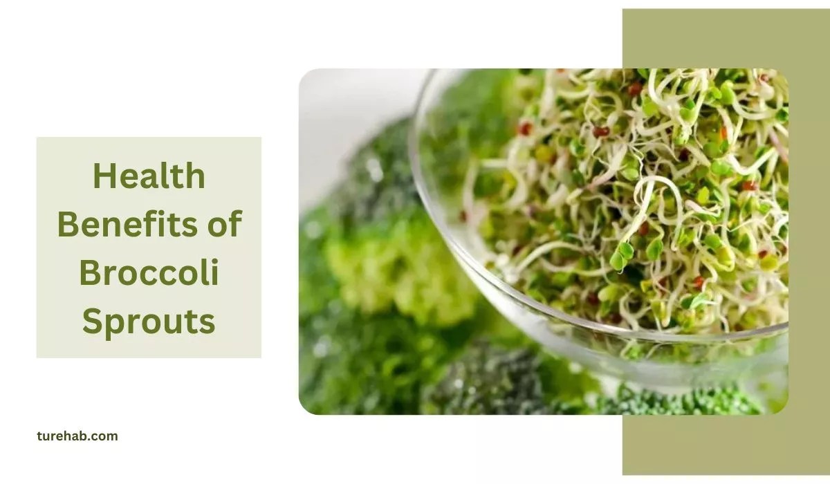 Incredible Health Benefits of Broccoli Sprouts Unveiled!