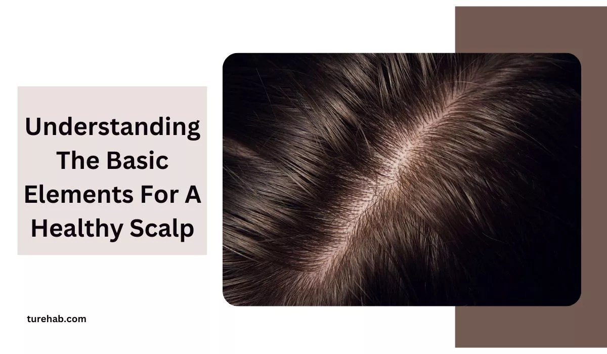 What Are The Two Basic Requirements For A Healthy Scalp?