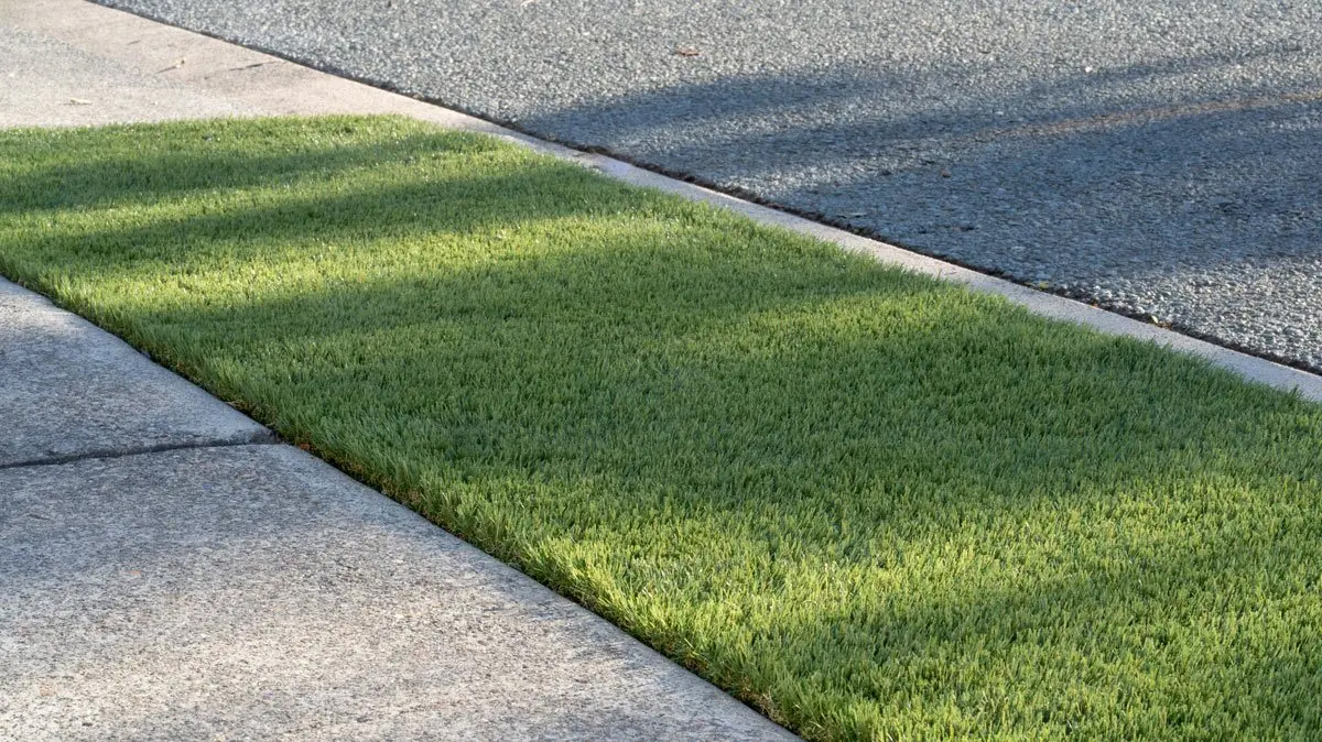 About us Quality Artificial Turf and Synthetic Grass Brisbane Turf King