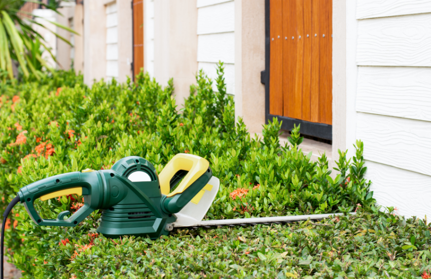 Edger vs Trimmer Which is Best For Your Yard? Turf&Till