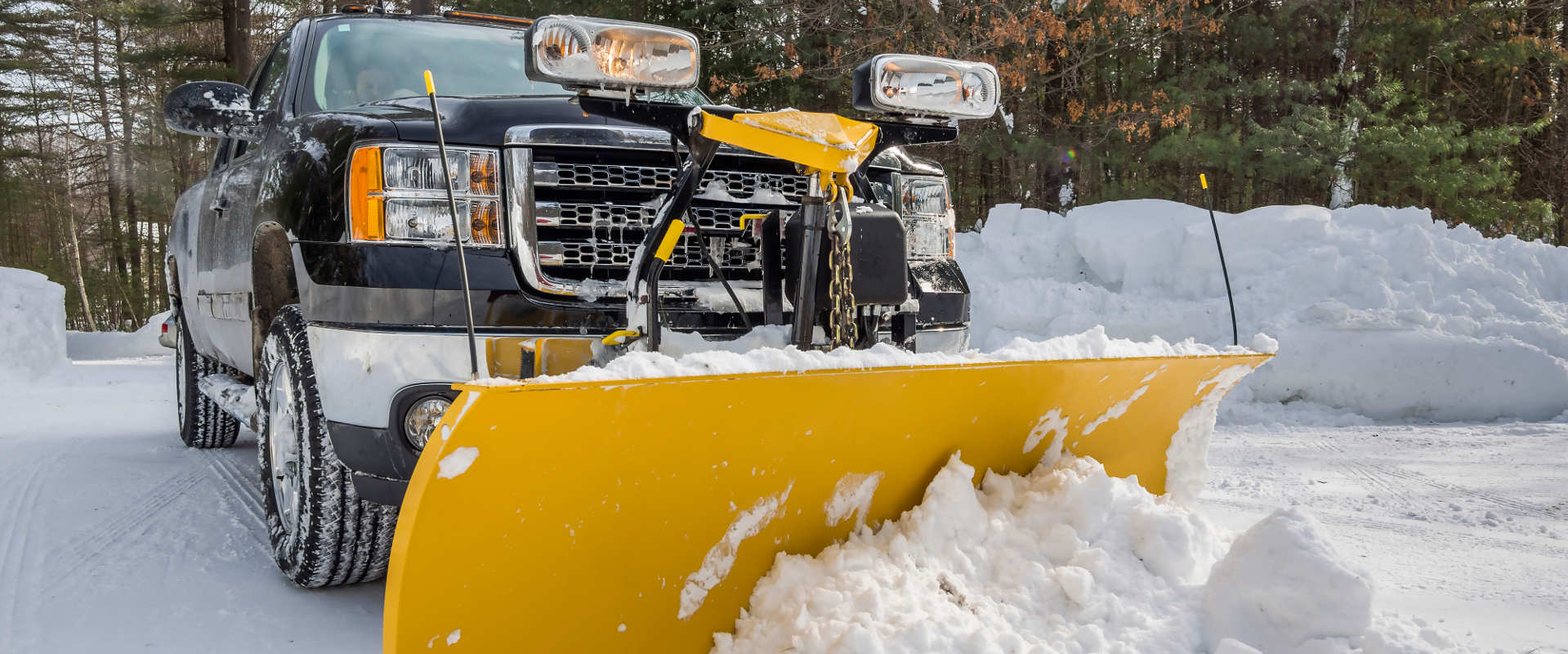Snow Removal Ask Turf Bunny to snow plow your driveway