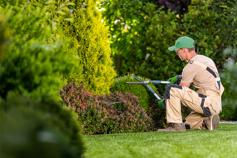 Landscaping Services Turf Md's