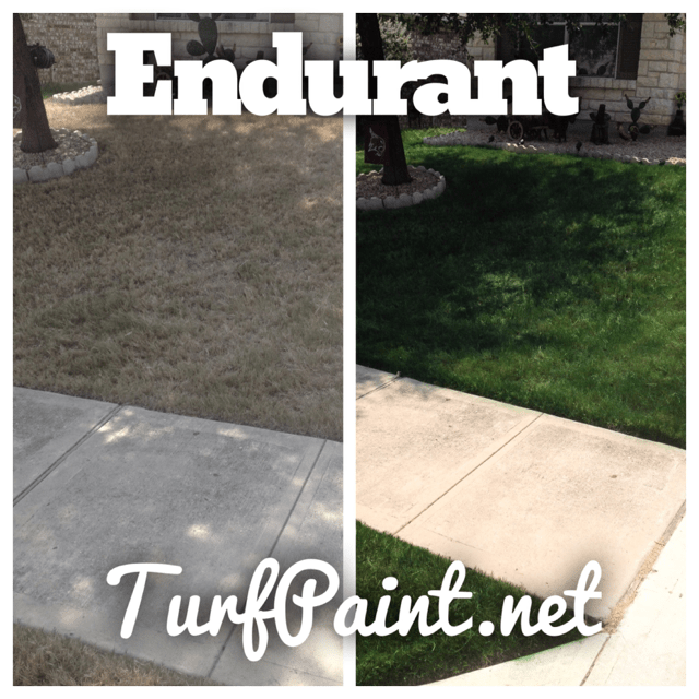 Before and after pictures of turf transformations Endurant Turf Paint