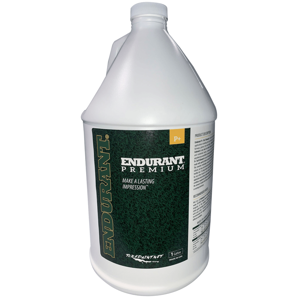 Home Endurant Turf Paint
